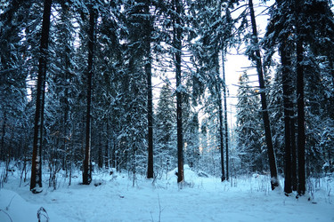 Similar image 21710941