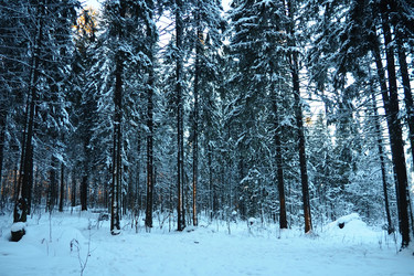 Similar image 21710942