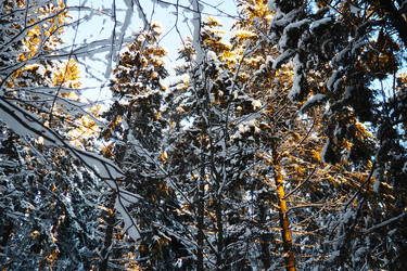 Similar image 21710944