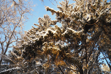 Similar image 21710946