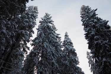 Similar image 21710947