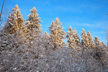 Similar image 21710949