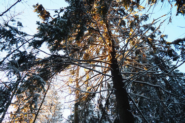 Similar image 21710950