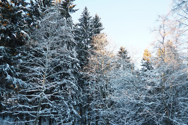 Similar image 21710951