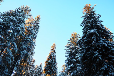 Similar image 21710953