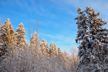 Similar image 21710954