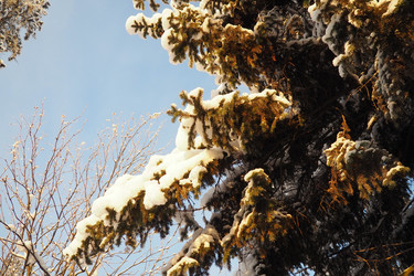 Similar image 21710955