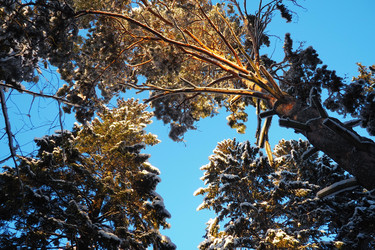 Similar image 21710956