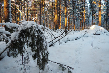 Similar image 21710958