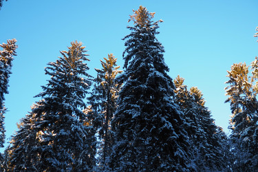 Similar image 21710959