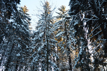 Similar image 21710960