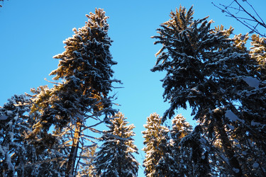 Similar image 21710961