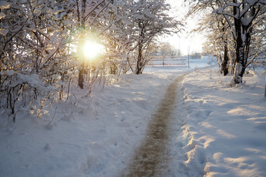 Similar image 21710963