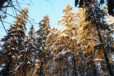 Similar image 21710964