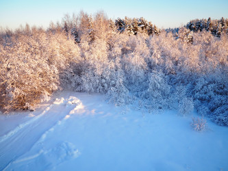 Similar image 21710968