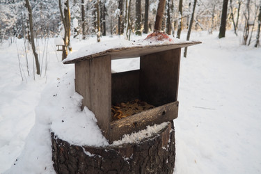 Similar image 21710976