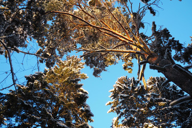 Similar image 21710977