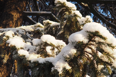 Similar image 21710981