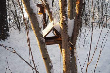 Similar image 21710985