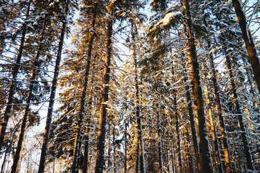 Similar image 21710989