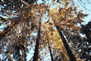 Similar image 21710990