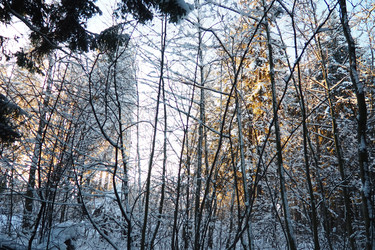 Similar image 21710991