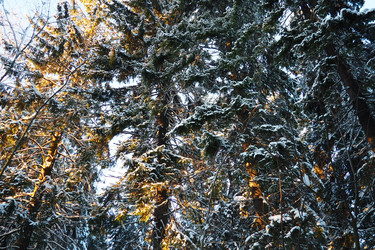 Similar image 21710993