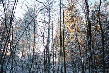 Similar image 21710994