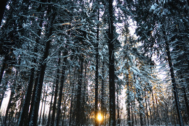 Similar image 21710998