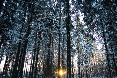 Similar image 21711000