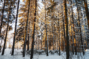 Similar image 21711001