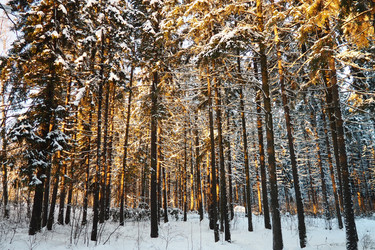 Similar image 21711002