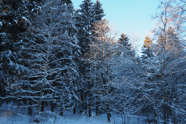 Similar image 21711003