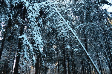 Similar image 21711004