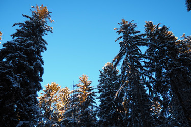 Similar image 21711007