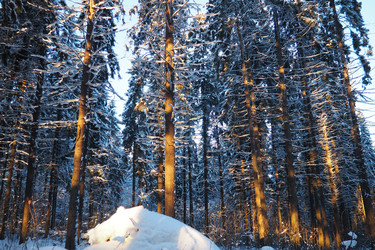 Similar image 21711010