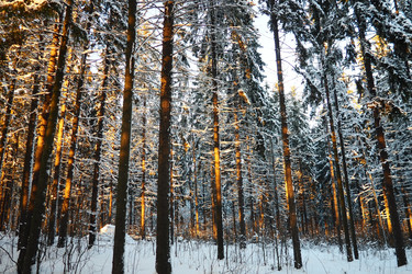 Similar image 21710794