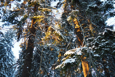 Similar image 21710797