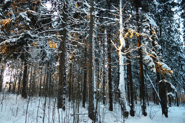 Similar image 21710798