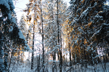 Similar image 21710799