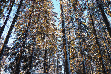 Similar image 21710801