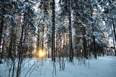 Similar image 21710802