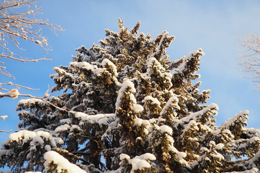 Similar image 21710803