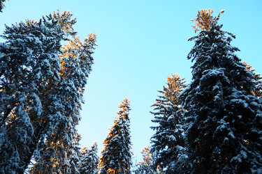 Similar image 21710805