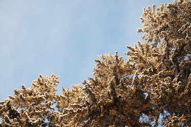 Similar image 21710808