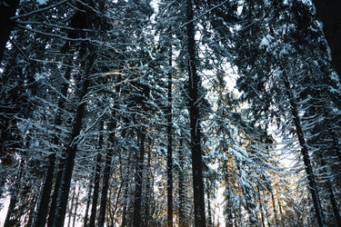 Similar image 21710810