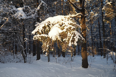 Similar image 21710811