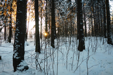 Similar image 21710812