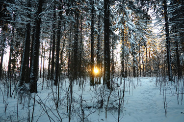 Similar image 21710813