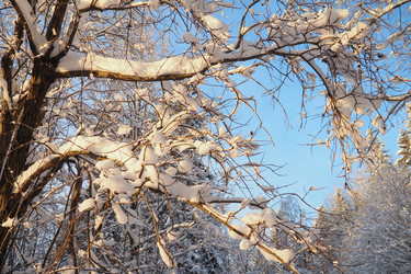 Similar image 21710814